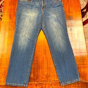 New Directions Denim Jeans, size 16 short